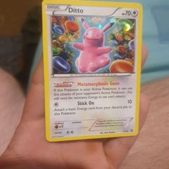 pokemon ditto XY40 GD condition