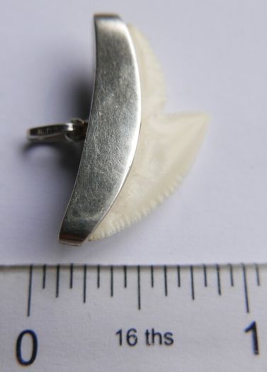 Vintage Sterling Silver Mounted Sharks Tooth Pendant