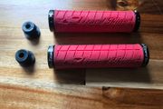 LizardSkins grips