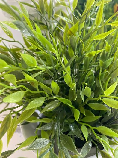 ShabbyChic Urn and Greenery