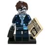 Lego CMF Series 14 Assortment of Spare Complete Minifigure Sets 71010 Collectible Minifigures Image 10