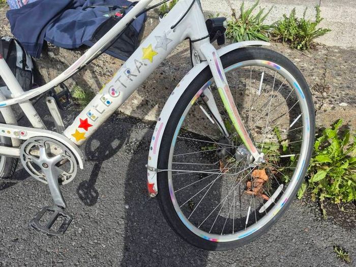 Ebike Electra 2023 Loft Go