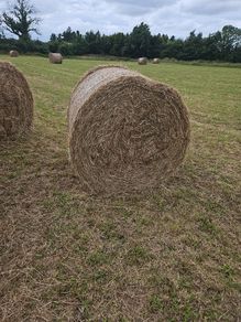 Hay Bales - Fourmilehouse