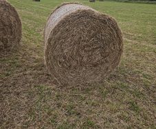 Hay Bales - Fourmilehouse