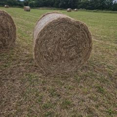 Hay Bales - Fourmilehouse