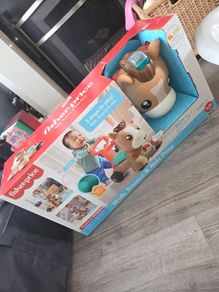 Fisher price ride on pony