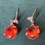Earrings Image 2