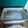 Chicco Next2Me Magic bedside cot Image 2