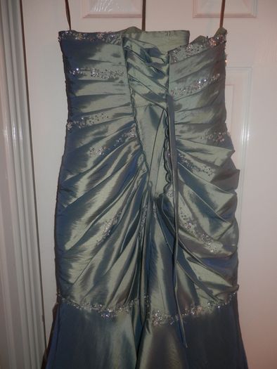 Ladies Ball Gown/Debs/Prom