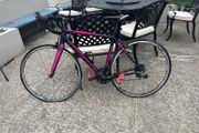 scott road bike