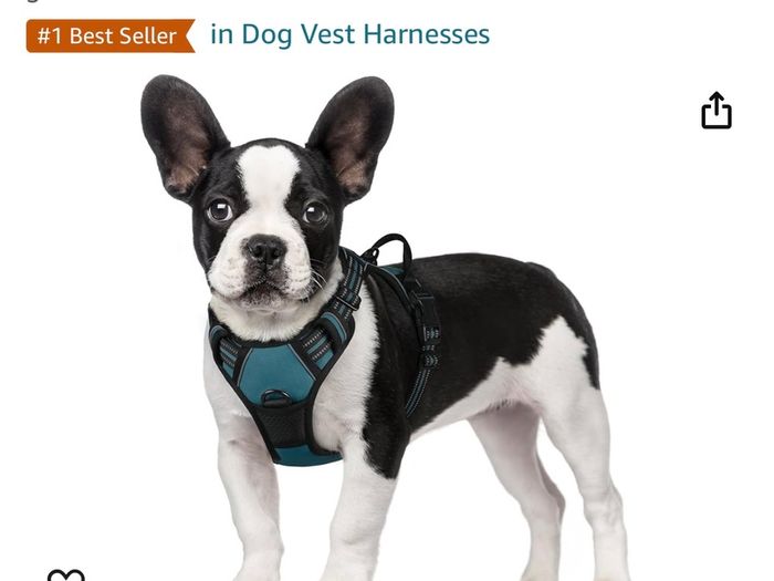 Dog harness by Rabbit Goo