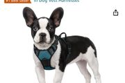 Dog harness by Rabbit Goo