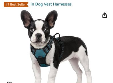 Dog harness by Rabbit Goo