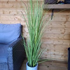 Artifical grass plant