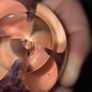 1999 Glass Eye Studio Purple Flower Paperweight Image 7