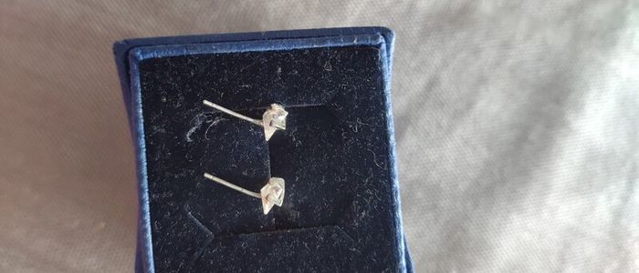 Sterling silver earrings