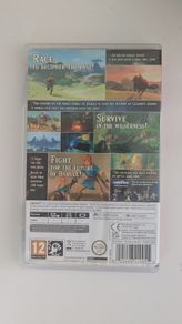 The Legend of Zelda