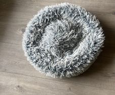 dog bed free small