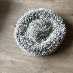 dog bed free small