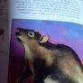 New book The Chinese Astrology handbook Image 9