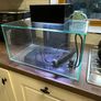 Fluval Edge 23 fish tank Image 2