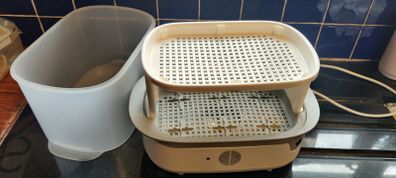 Bottle Sterilizer