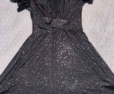 Black Sparkly Skater Dress