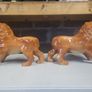 Pair Staffordshire Standing Lions Image 4