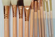Zoeva brush set
