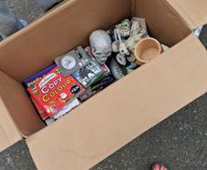 carboot lot
