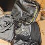 Boat Black Cat + Motor Brand new never used Image 6