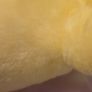 Birthday Bear HTF Carebear Kenner American Greetings Corporation AGC 1983 Plush Teddy 12inch Large Vintage Image 9