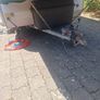 trailer tent Image 9