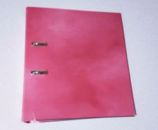 Pink Folder, For Documents (used).