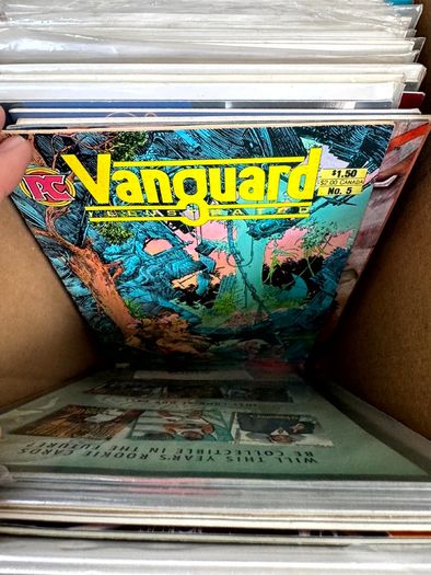 Indie Long Comic Box w 250 Comics for Sale