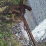 Plough and scuffler Image 8