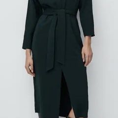 Massimo Dutti day dress