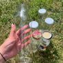 Glass bottles (5) Image 2