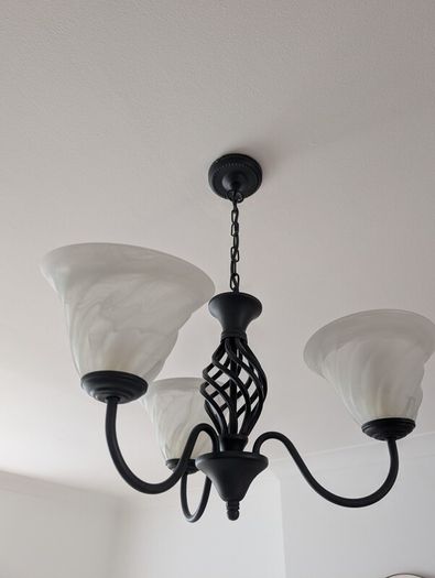 Black Ceiling Light fixture