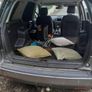 Freelander Image 4