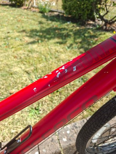 Red Carrera Saruna Junior Hybrid Bike 24 inch Wheels