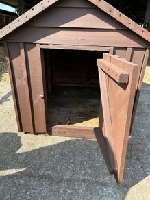 Dog Kennel