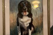 Pastel Dog Painting by Donald Pass