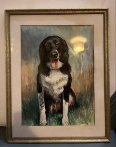Pastel Dog Painting by Donald Pass
