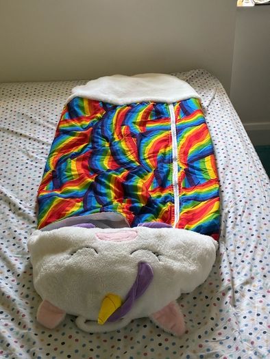 Childs Sleeping Bag