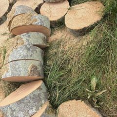 Timber for sale