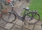 Dawes ladies Bike