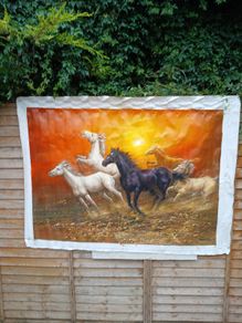 horses