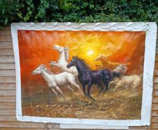 horses