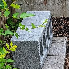 Cinder Blocks